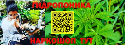 экстази Будённовск