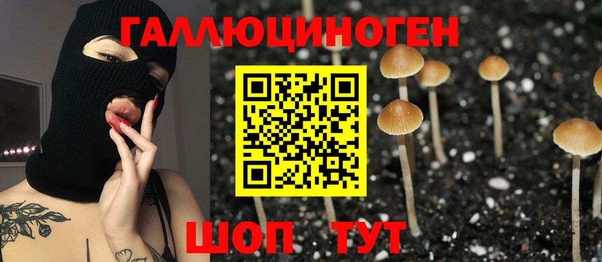 Псилоцибиновые грибы MAGIC MUSHROOMS  где найти наркотики  Медногорск  Вход с VPN 
